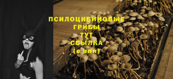 гидропоника Балахна