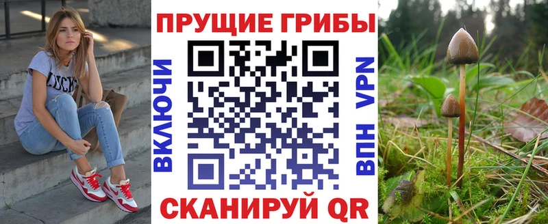 Псилоцибиновые грибы мухоморы  Купить  Первомайск 